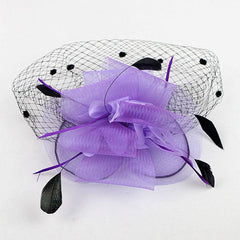 Retro Style Bird Cage Mesh Bridal Face Veil Feather Fascinator Hair Clip Wedding 